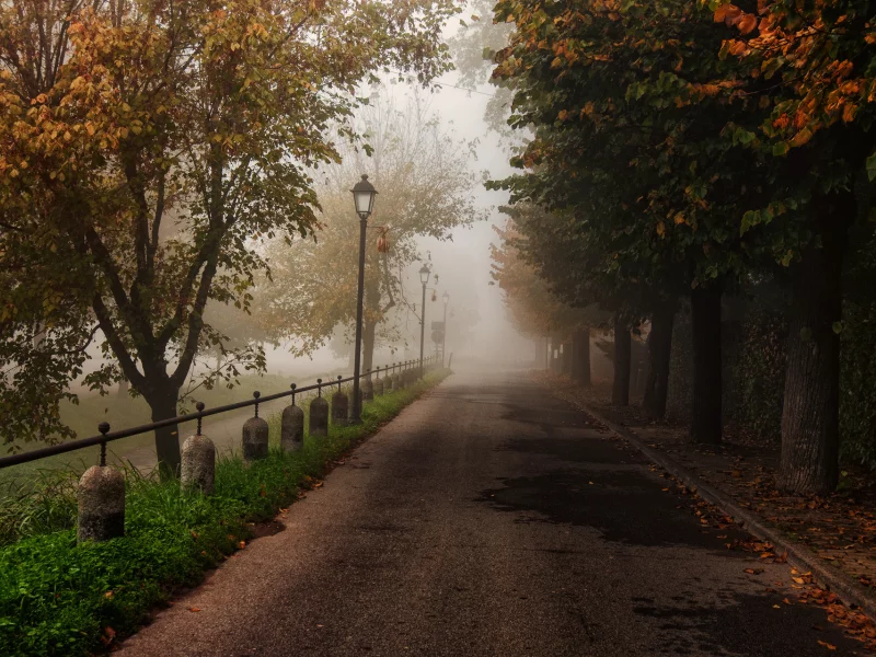 ограда, парк, деревья, дорога, Природа, осень, листва