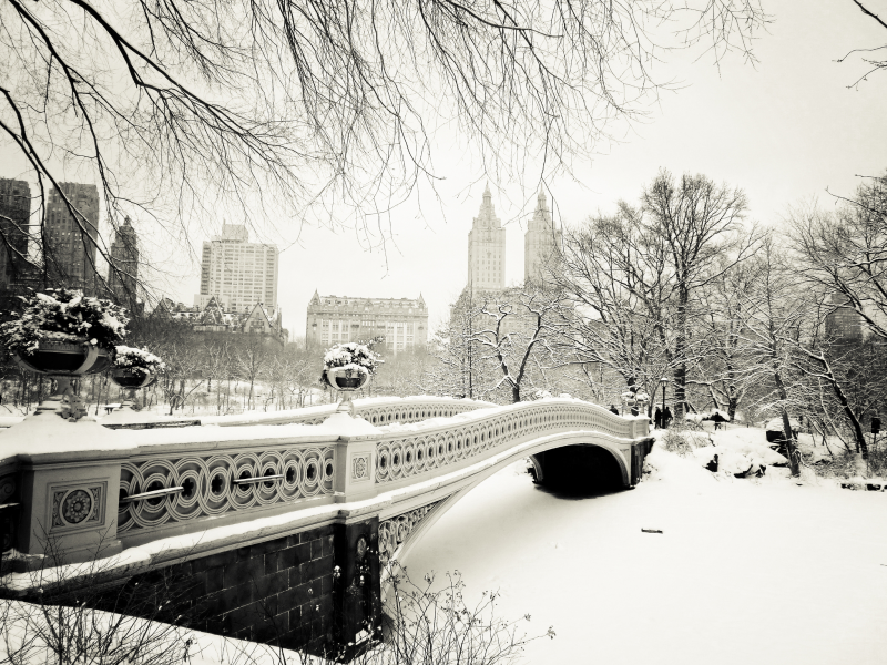 nyc, нью-йорк, сша, usa, central park, bow bridge, manhattan , New york city