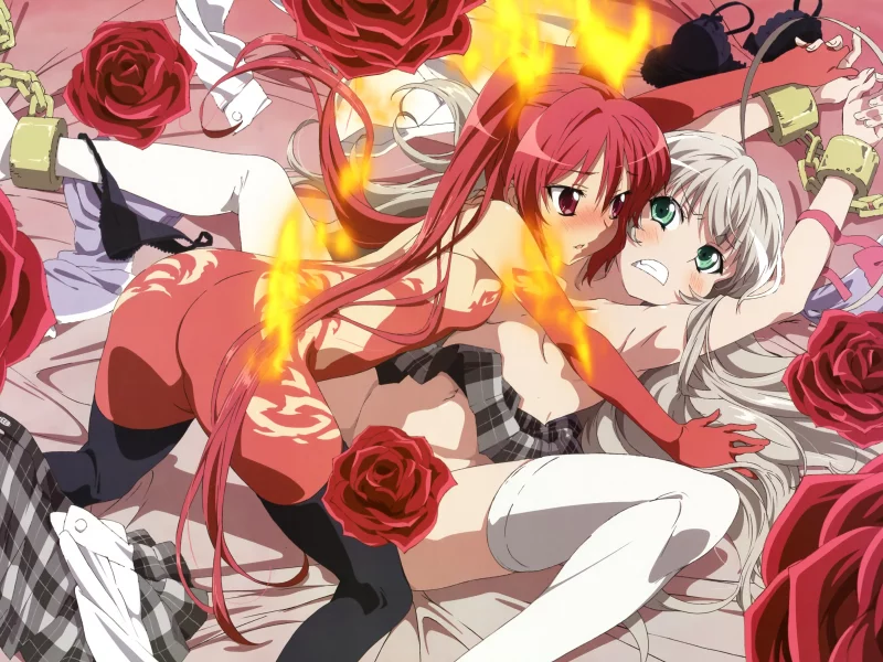 кууко, haiyore! nyaruko-san, Аниме, лежат, розы, кандалы, няруко