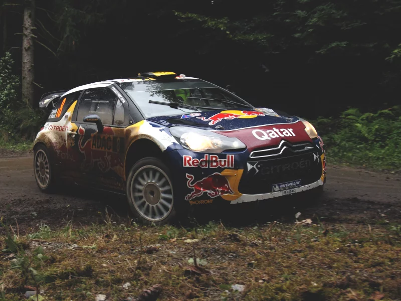 red, bull, ситроен, ралли, Citroen, rally, лес, ds3, гонка, race, wrc