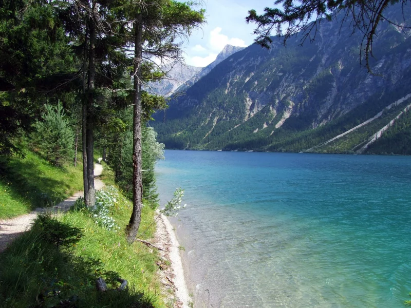 деревья, гора, вода, берег, трава, Озеро, тропа