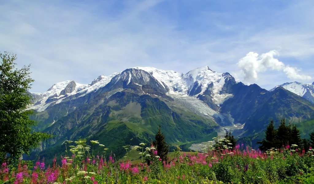 луг, Mont blanc, цветы, монблан, природа, альпы, alps, горы