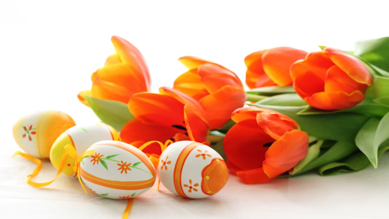 весна, Easter, пасха, цветы, красные, тюльпаны, яйца
