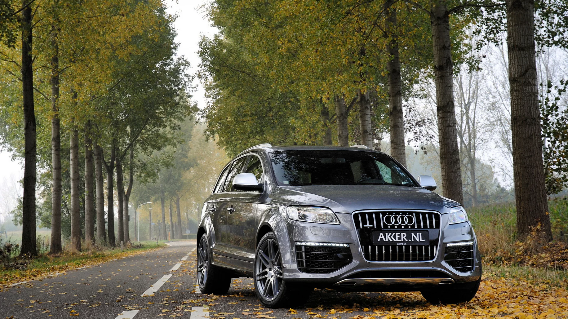 metallic, джип, grey, jeep, серый, Audi, осень, q7, ауди, металлик