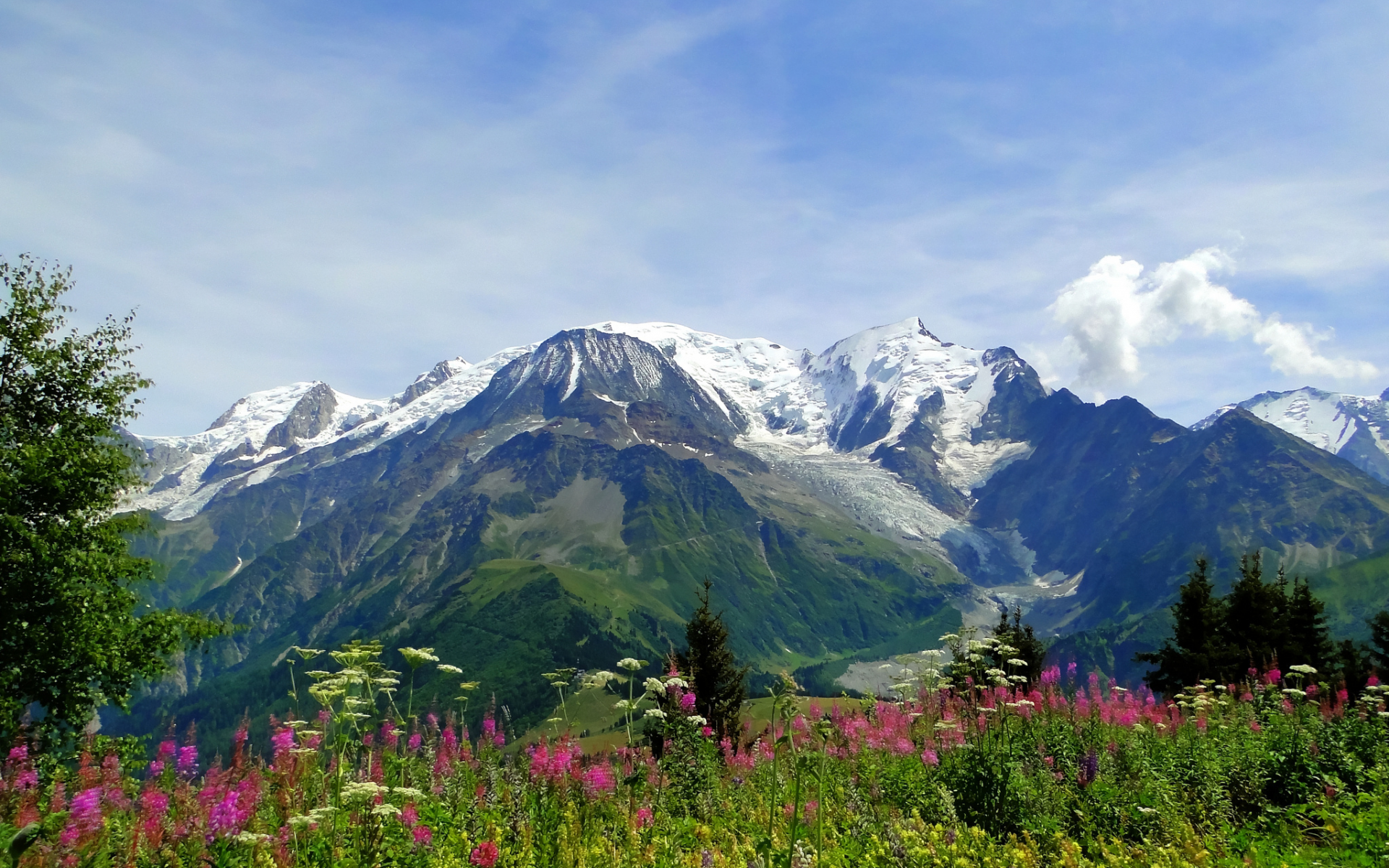 луг, Mont blanc, цветы, монблан, природа, альпы, alps, горы