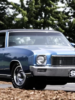 ss, монте карло, 454, monte carlo, Chevrolet, 1971, передок, шевроле