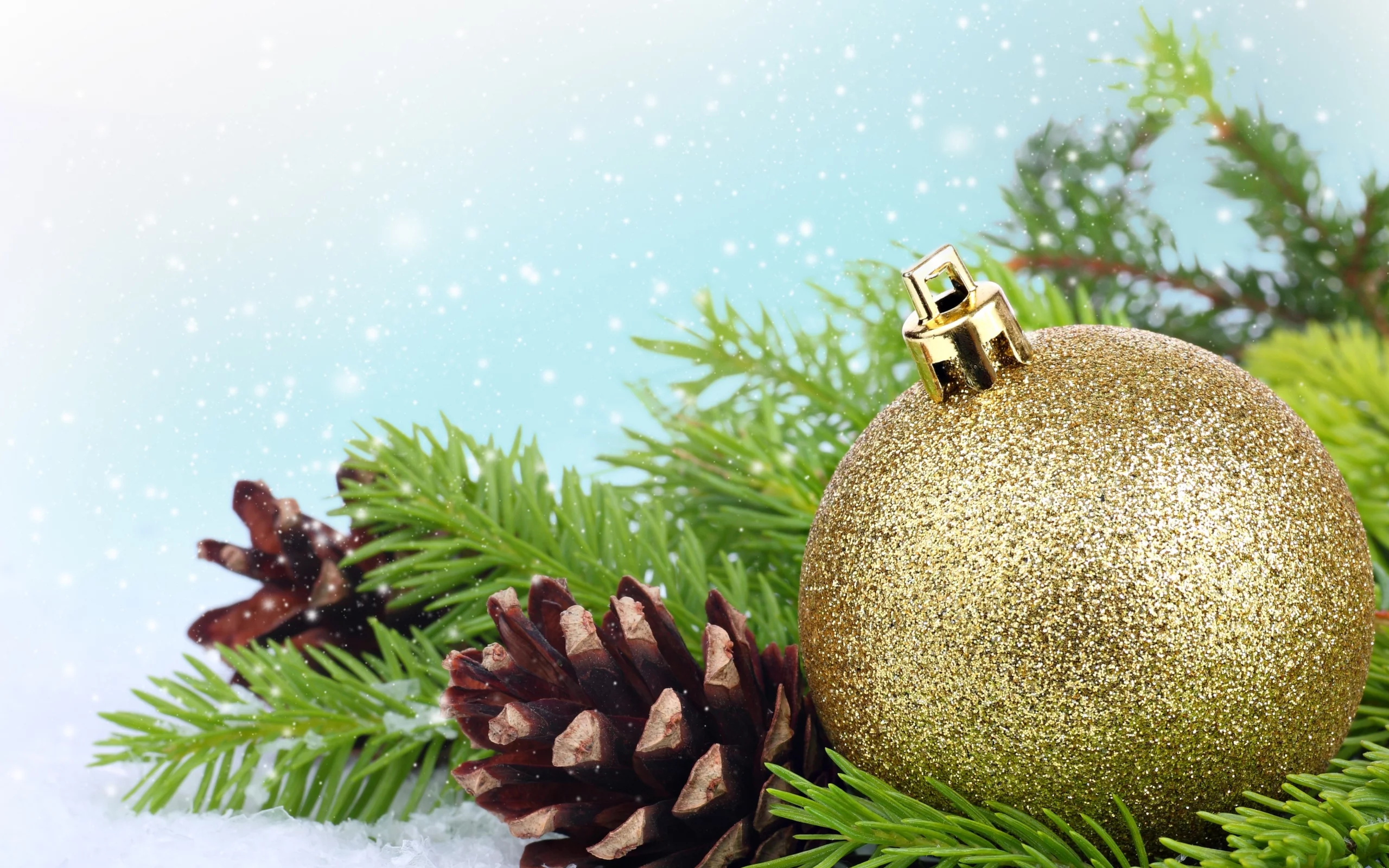 Шар, шишки, christmas, шарик, new year, золотой, елка, ветка