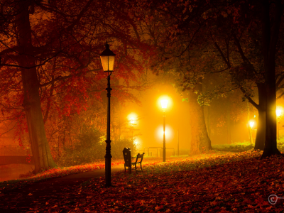 фонари, Ночь, парк, сумрак, осень, мост, свет, скамейка