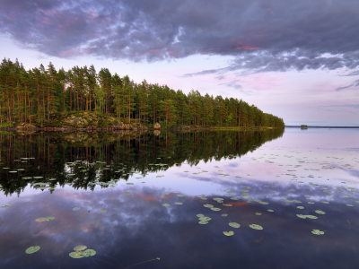 Lake teen, остров, n__rke, деревья, sweden, швеция, лес, озеро