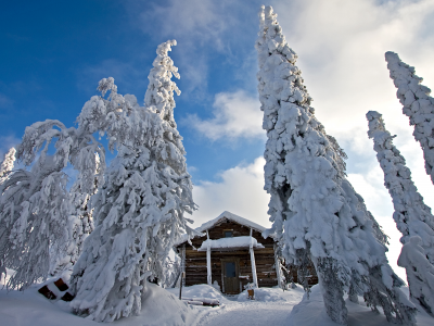 природа, сугробы, зима, домик, снег, Финляндия, ели
