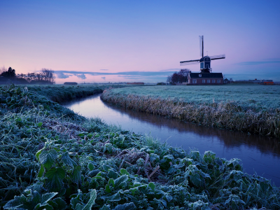 Нидерланды, зима, деревья, иней, поле, рассвет, утро
