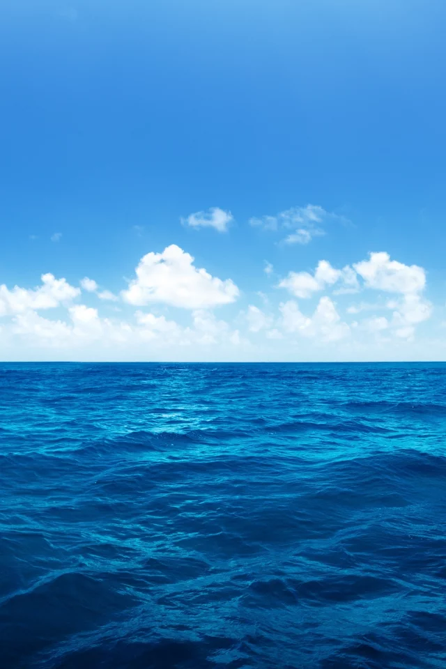 Ocean, palms, nature, облака, море, sky, clouds, океан, waves, пальмы, sea