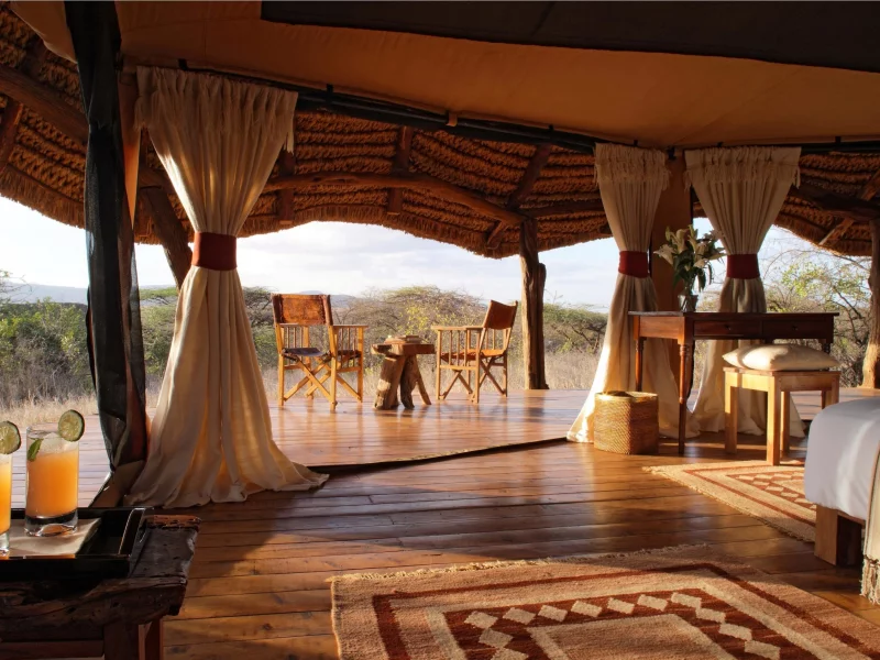 glamping, дизайн, глемпинг, interior, Интерьер, tent, safari, стиль