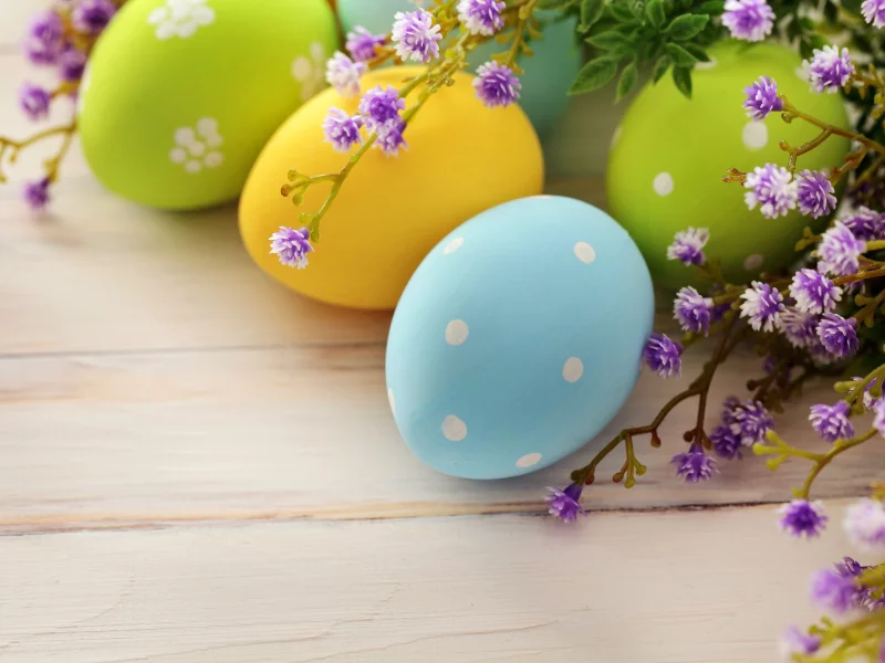 яйца, праздник, easter, Пасха, ветка, весна, пасхальные