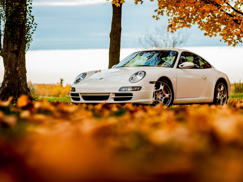 белый, foliage, порше, white, осень, 911, tree, sky, Porsche, 911, autumn