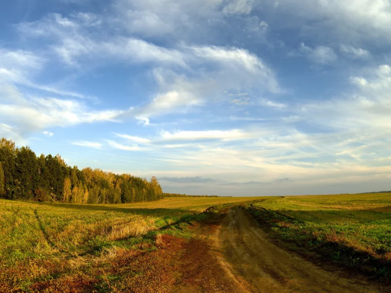 дорога, Поле, осень, пейзаж