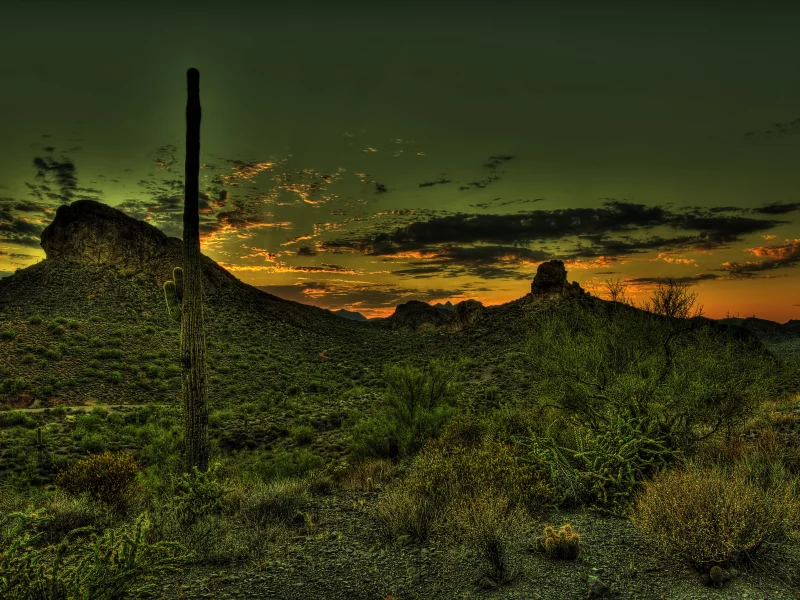 hdr, пустыня, мексика, Закат, горы, кактус