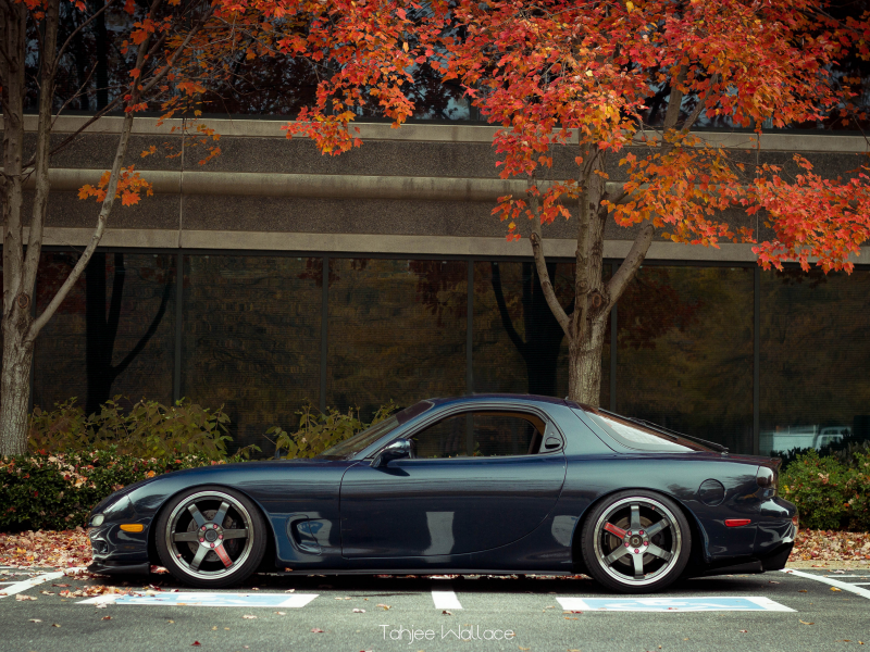 rx7, autumn, Mazda, мазда, осень, te37