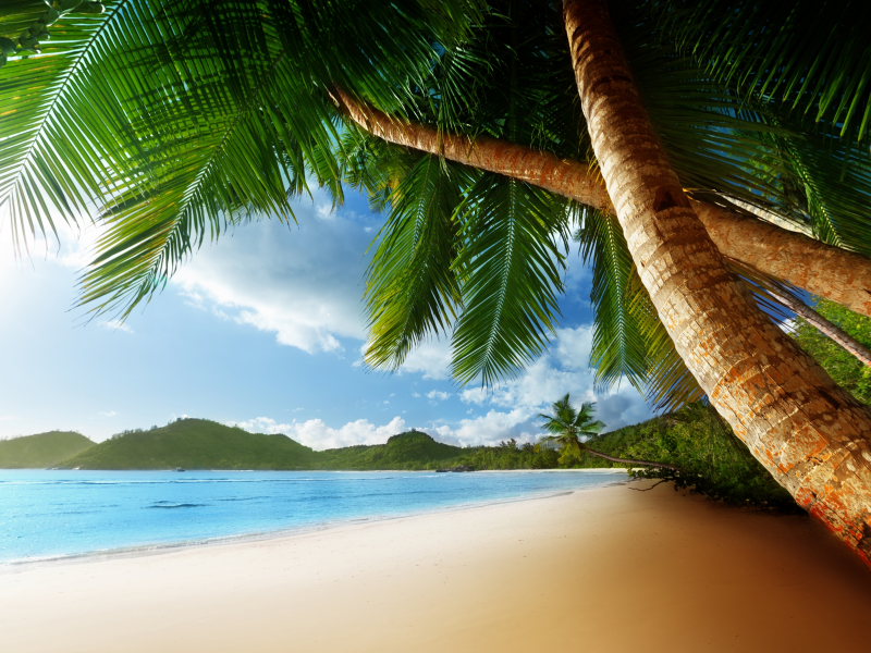 Caribbean, clouds, beach, sea, shore, nature, palms, ocean, landscape, sky
