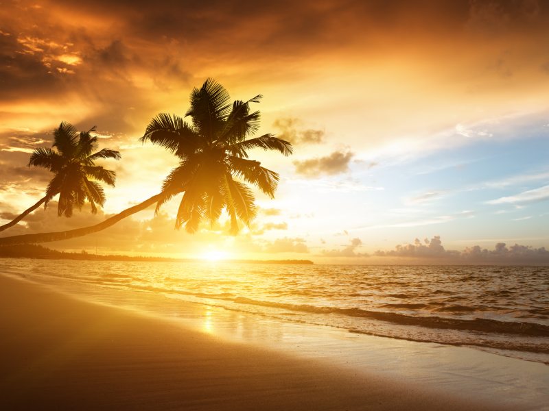 , , , palms, beach, ocean, sea, , sunrise, shore,, , , sunlight, , clouds, , sky, Caribbean