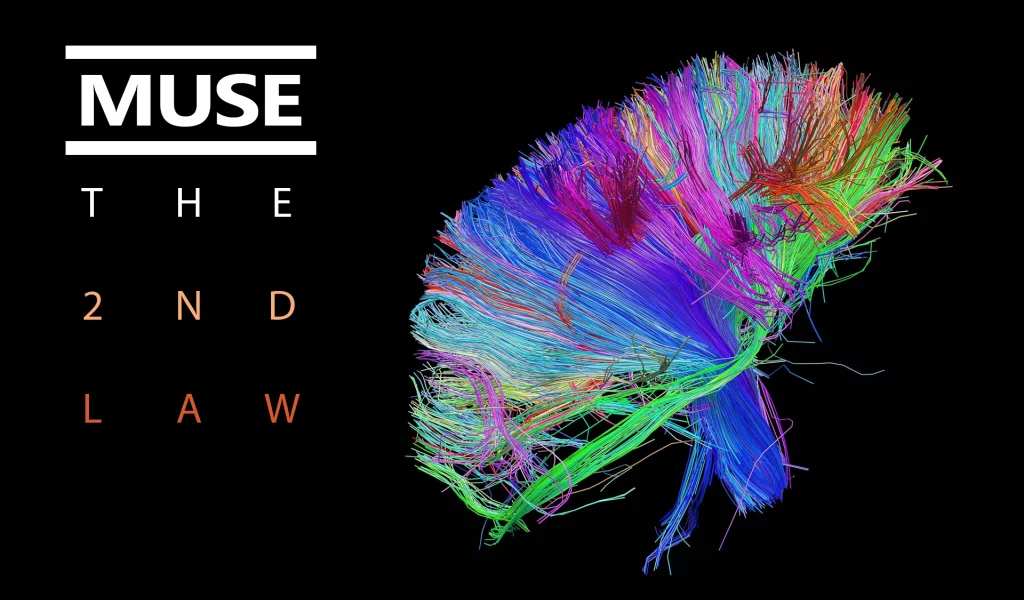 brain, colors, wires, Muse, the 2nd law, обложка, bundle