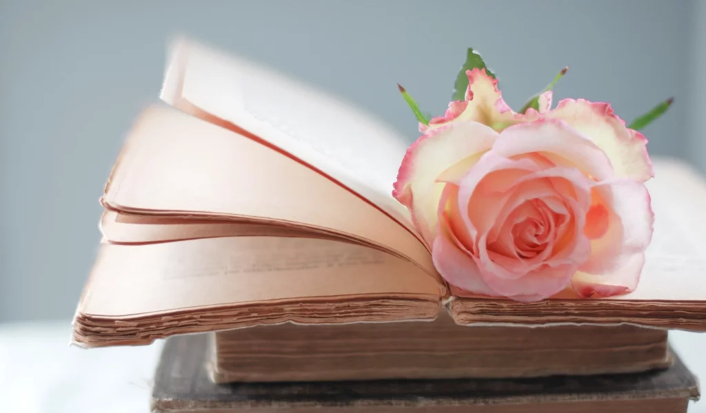 Роза, розовая, книги, страницы, цветок