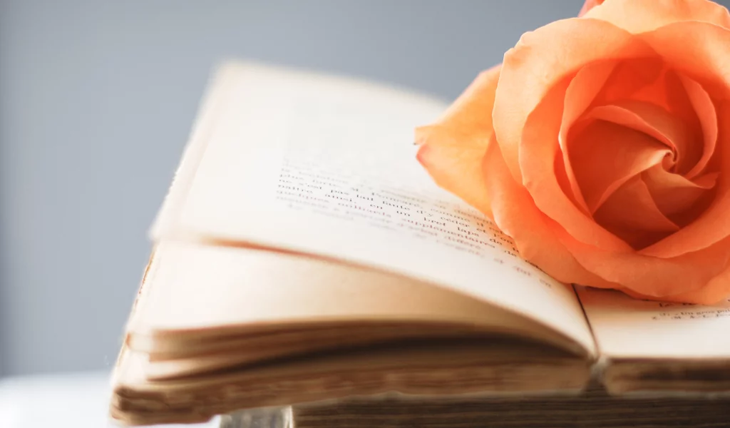 цветы, стиль, цветочек, роза, книга, книжка, оранжевый
