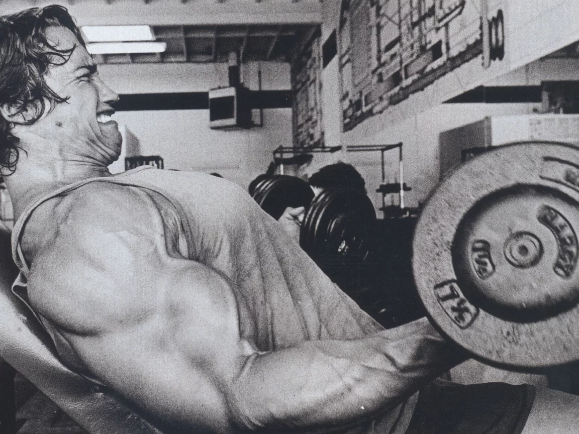 мужик, arnold schwarzenegger, актер, Арнольд шварценеггер
