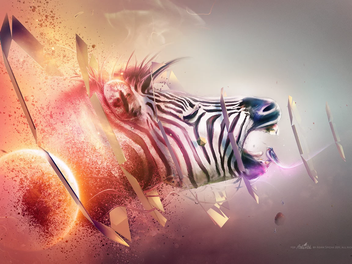 red, white, black, blue, abstraction, orange, purple, Zebra, gray