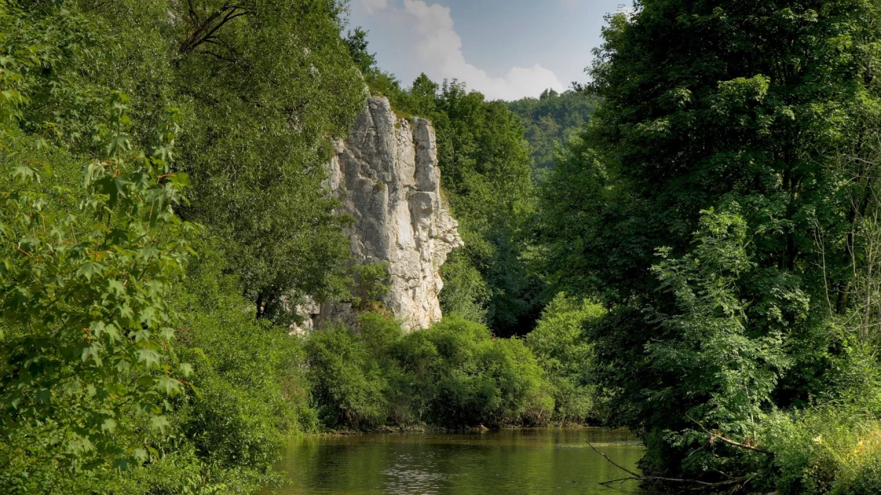 река, лес скалы