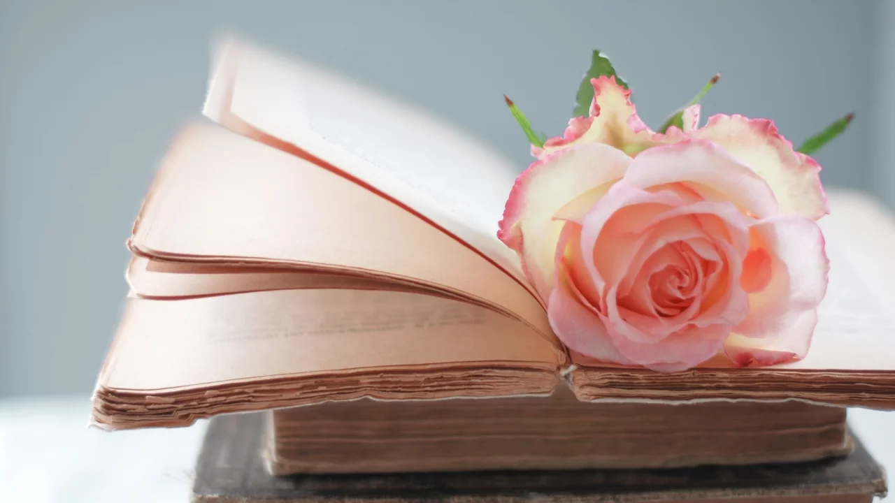 Роза, розовая, книги, страницы, цветок