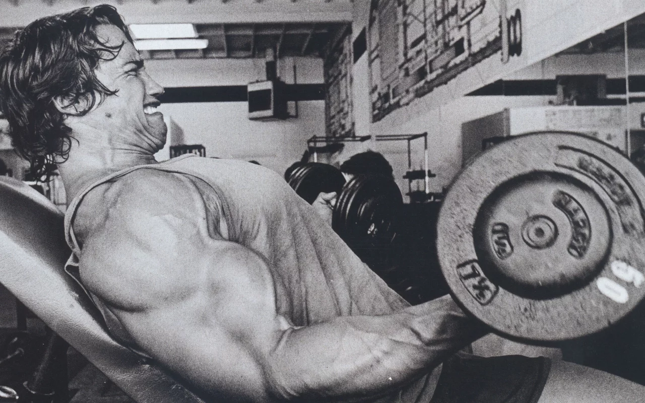 мужик, arnold schwarzenegger, актер, Арнольд шварценеггер