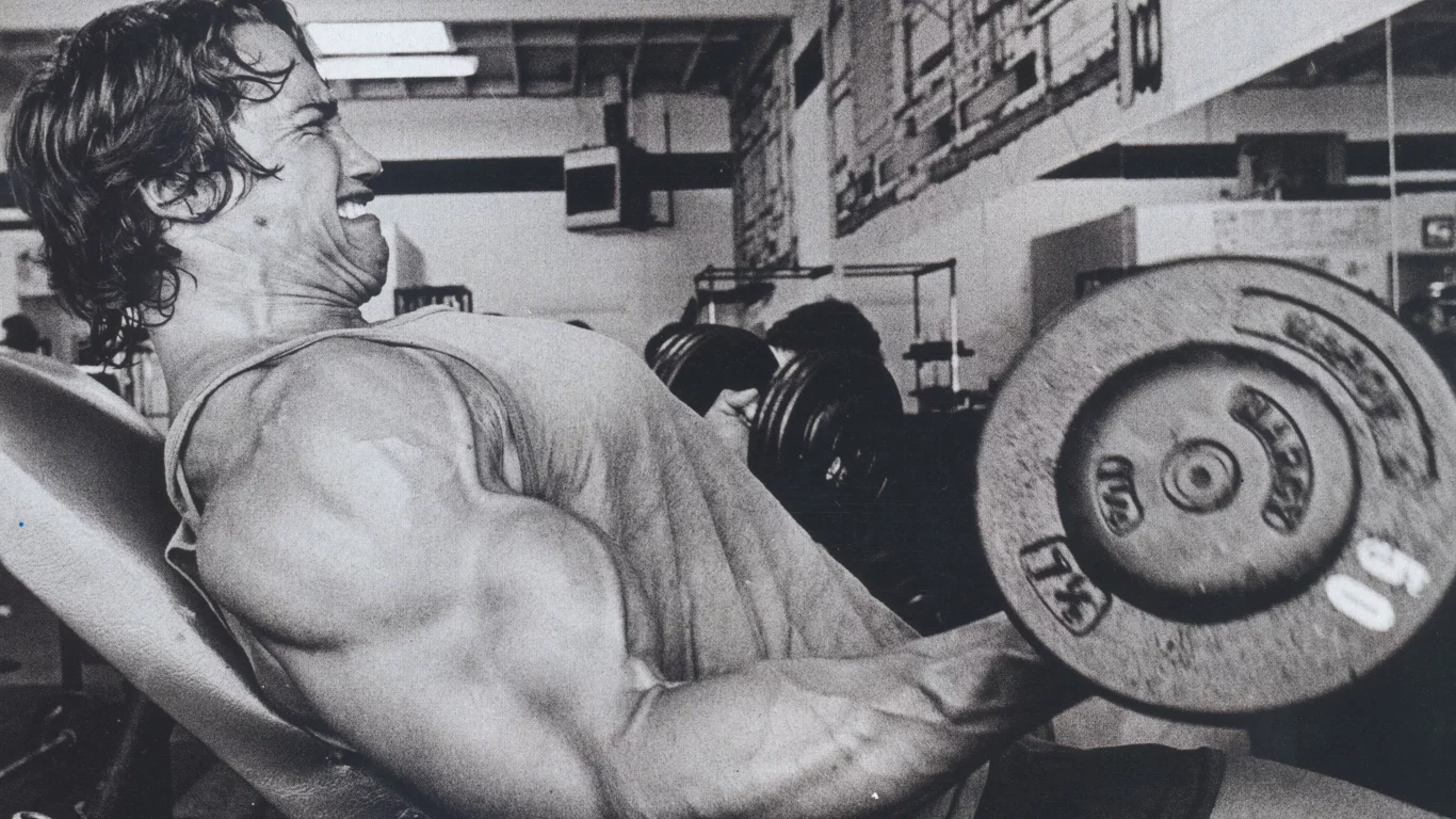 мужик, arnold schwarzenegger, актер, Арнольд шварценеггер