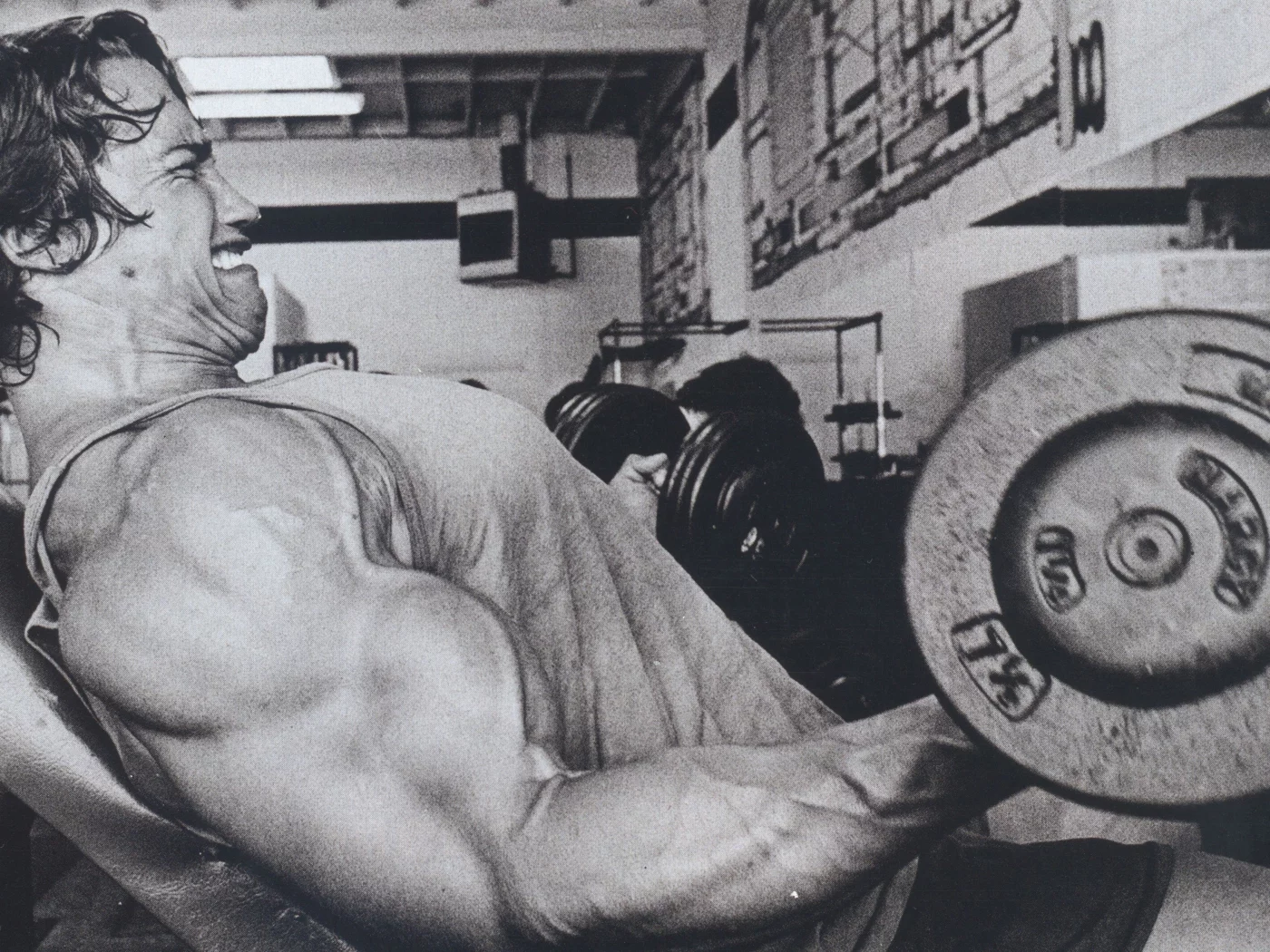 мужик, arnold schwarzenegger, актер, Арнольд шварценеггер