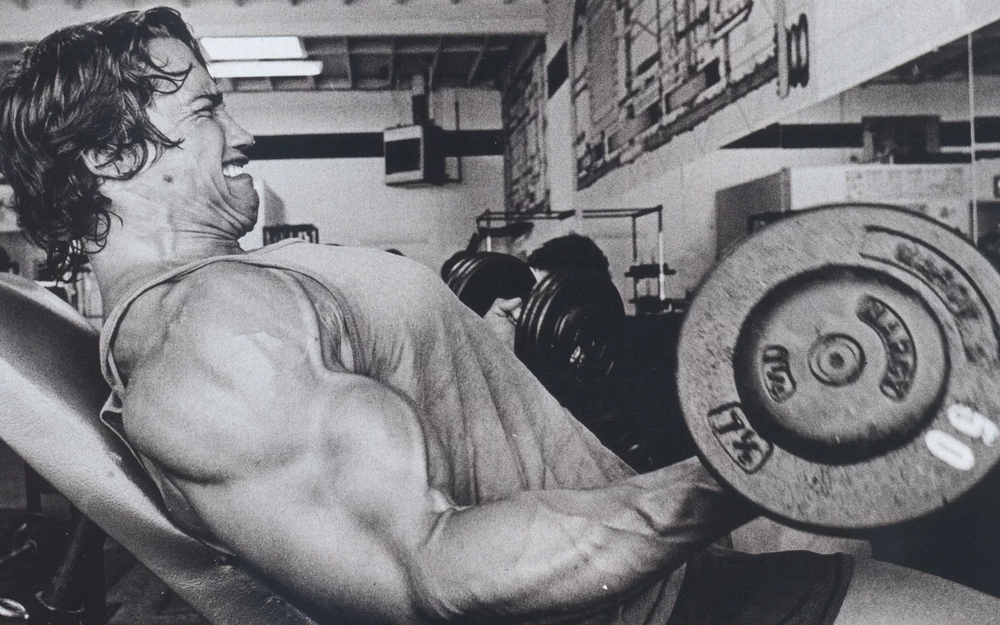 мужик, arnold schwarzenegger, актер, Арнольд шварценеггер