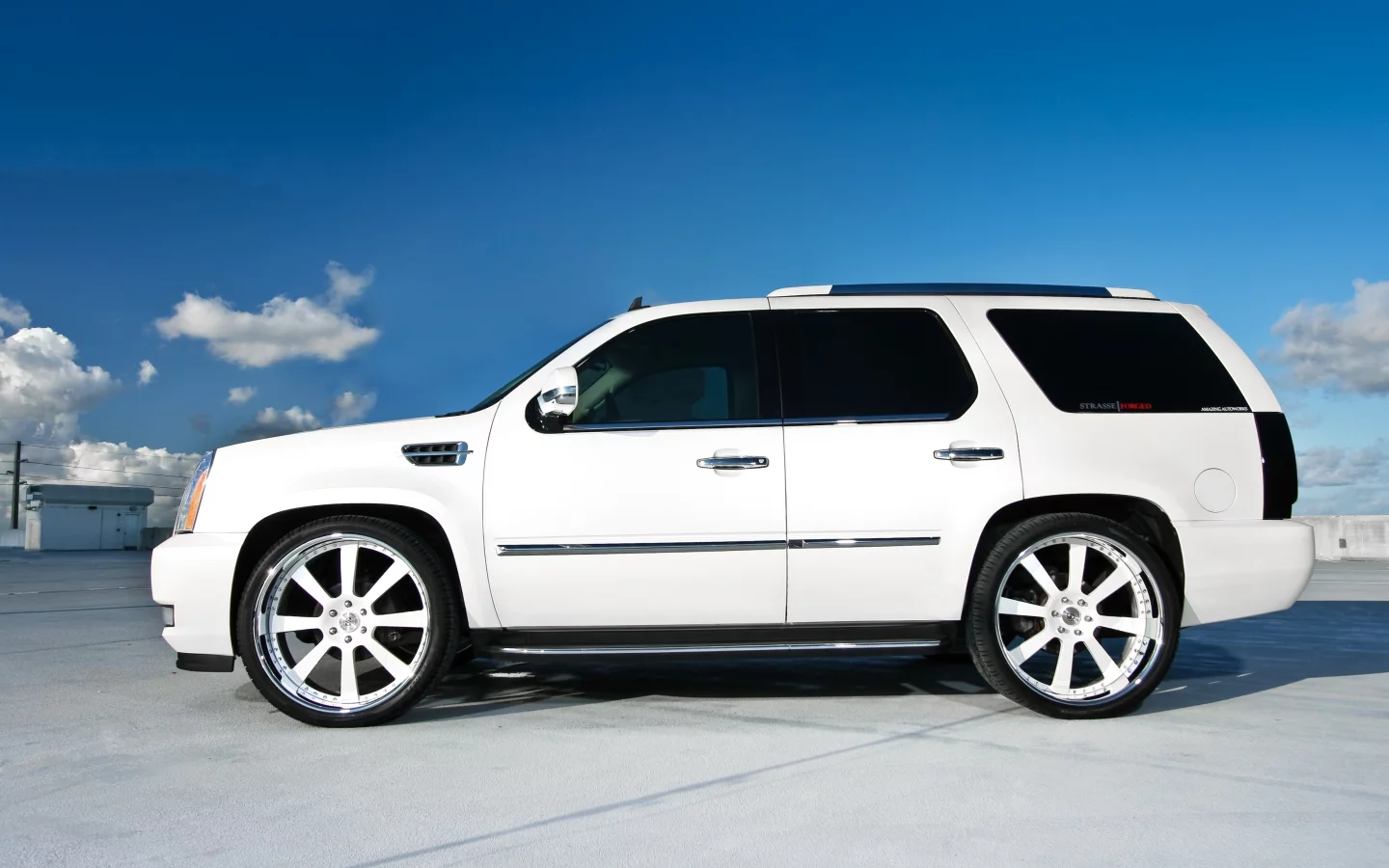 профиль, escalade, кадиллак, белый, эскалад, white, wheels, Cadillac