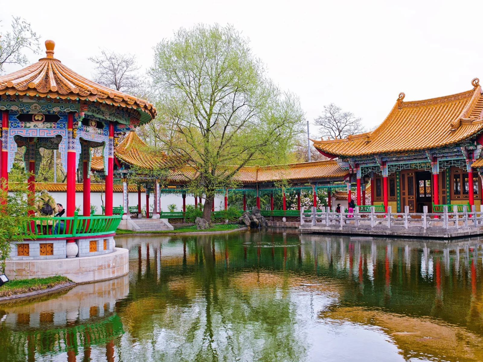 пруд, парк, цюрих, switzerland, Z__rich, chinese garden, швейцария