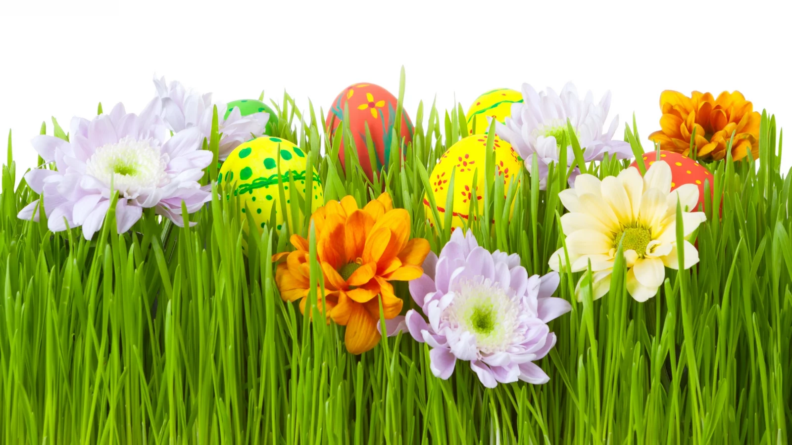 пасха, яйца, Цветы, easter, трава