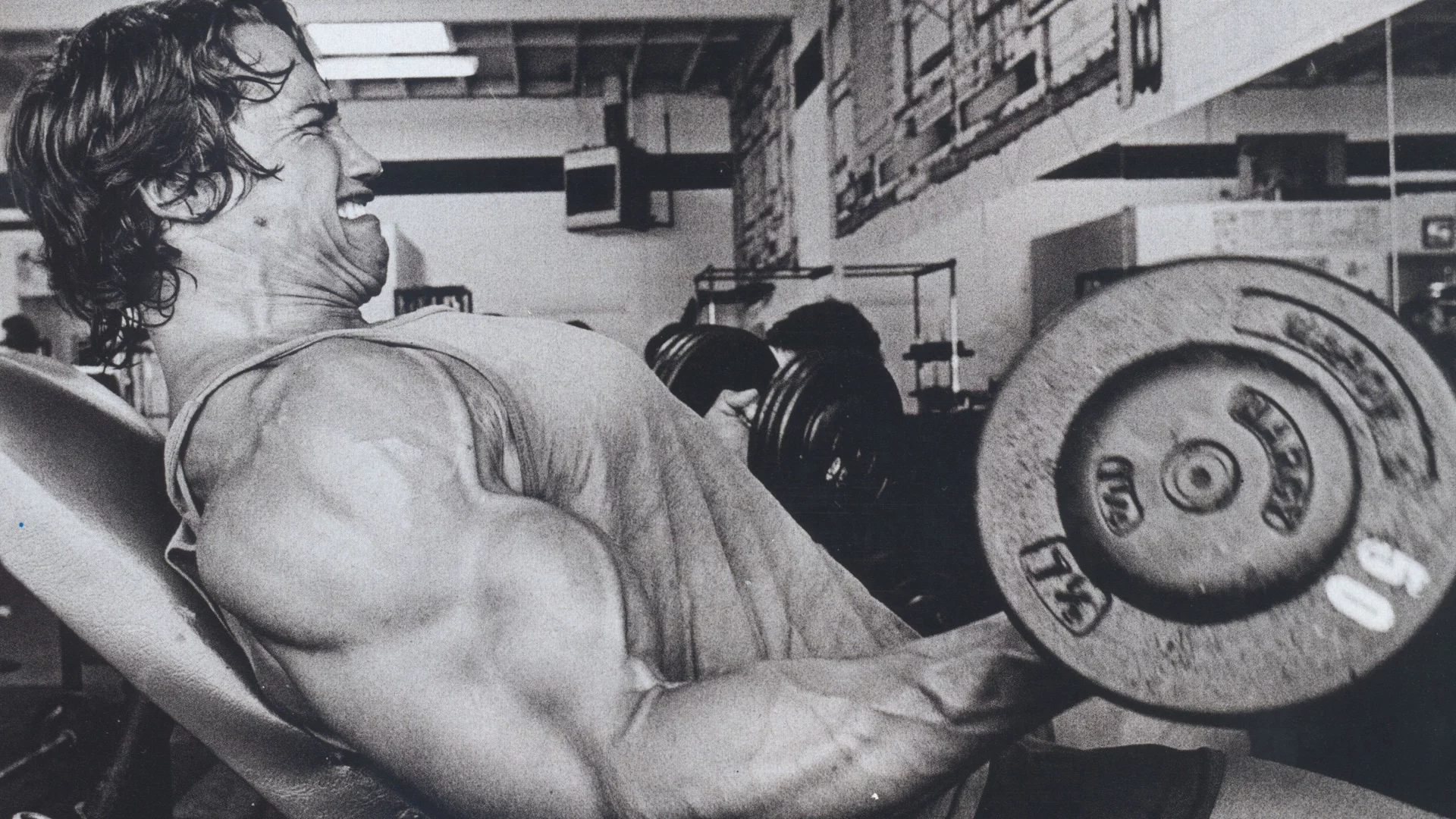 мужик, arnold schwarzenegger, актер, Арнольд шварценеггер
