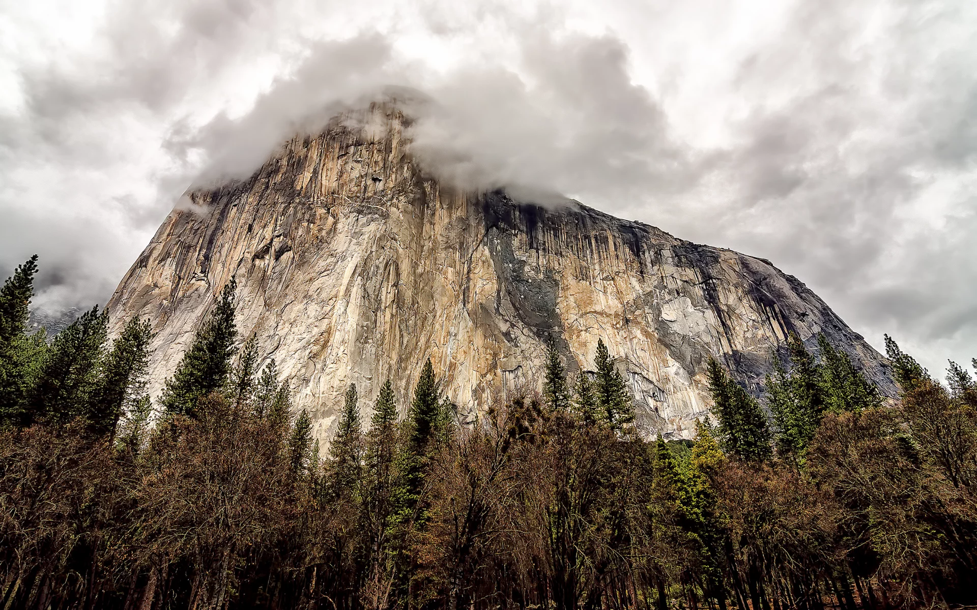 trees, california, mountain, rock, yosemite national park, clouds, sky, Usa, сша