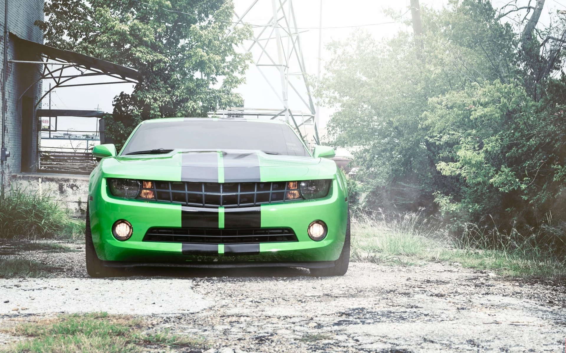 зелёный, camaro, Chevrolet, шевроле, камаро, green, передок