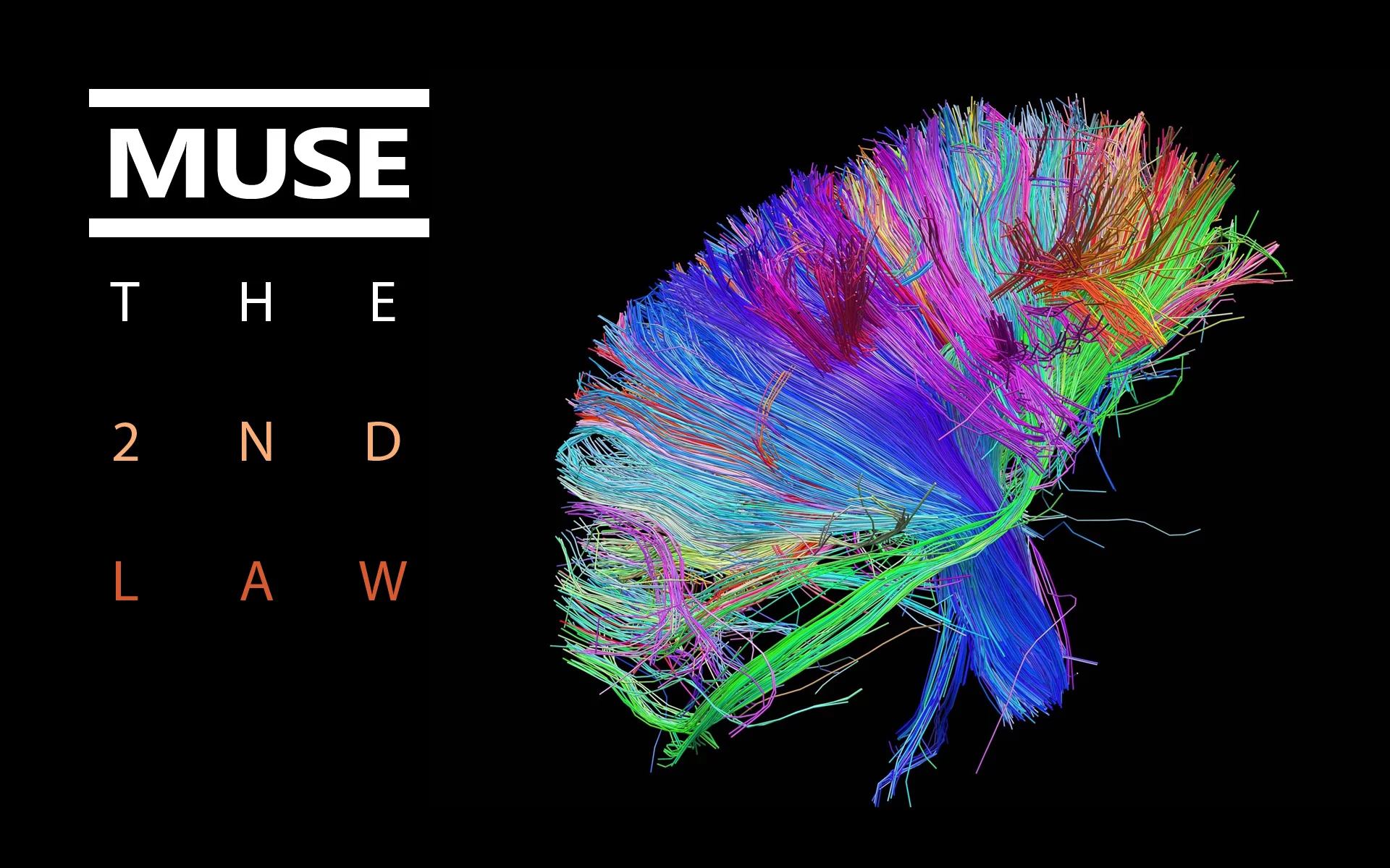 brain, colors, wires, Muse, the 2nd law, обложка, bundle