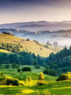 холмы, природа, Пейзаж, туман, рассвет, деревья, зелень