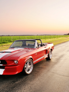 500cr, мустанг, форд, convertible, ford, gt, classic recreations, shelby, mustang