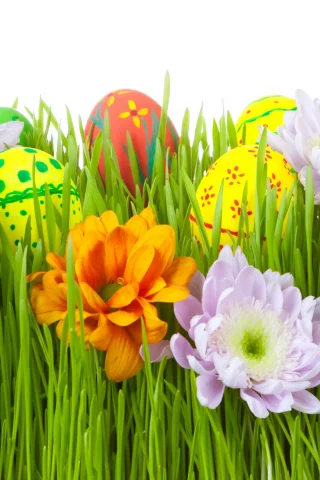 пасха, яйца, Цветы, easter, трава