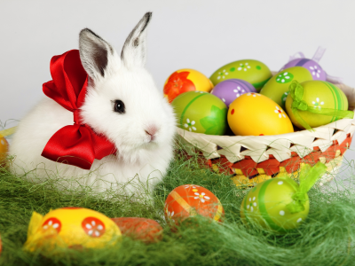 easter, пасхальные, праздник, Пасха, яйца, весна, корзина