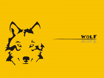 wolf, Волк, желтый