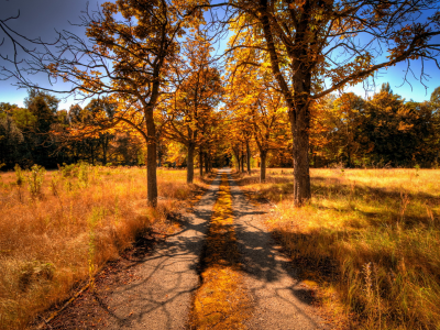 Дорога, осень, пейзаж, деревья