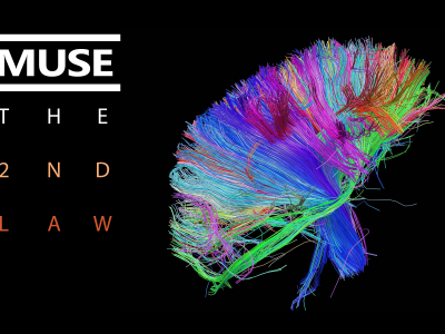 brain, colors, wires, Muse, the 2nd law, обложка, bundle