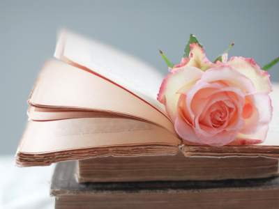 Роза, розовая, книги, страницы, цветок